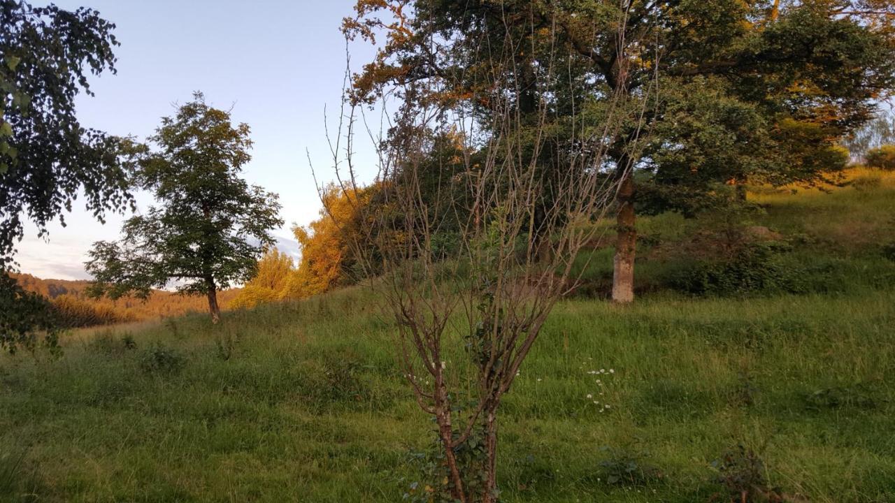 Ma Roulotte Sous Les Chenes- Au Naturel Raon-aux-Bois Exterior foto