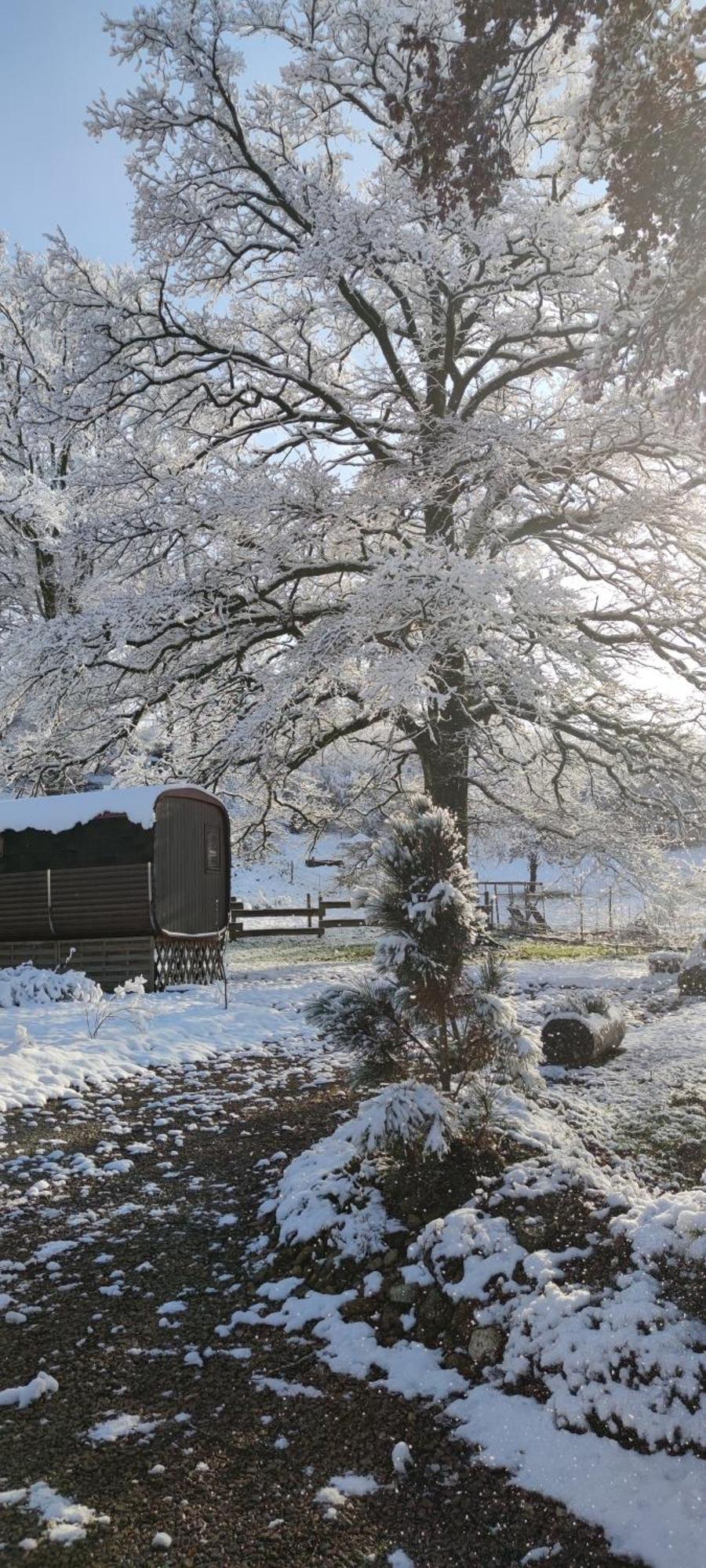 Ma Roulotte Sous Les Chenes- Au Naturel Raon-aux-Bois Exterior foto